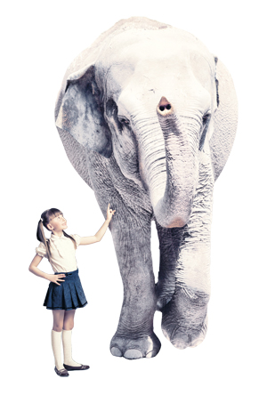 School Is No Place For White Elephants