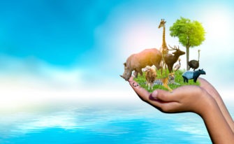 Voiceless partners with Education Perfect to inspire next generation of change-makers to protect animals